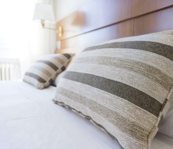 Bed Pillows